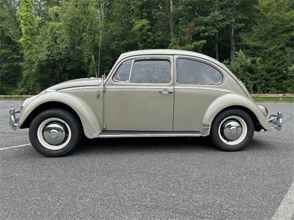 1966 Volkswagen Beetle (1958-1979) - Image 7 of 18