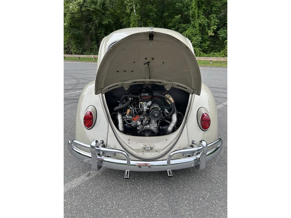 1966 Volkswagen Beetle (1958-1979) - Image 13 of 18