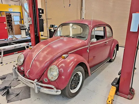 1966 Volkswagen Beetle