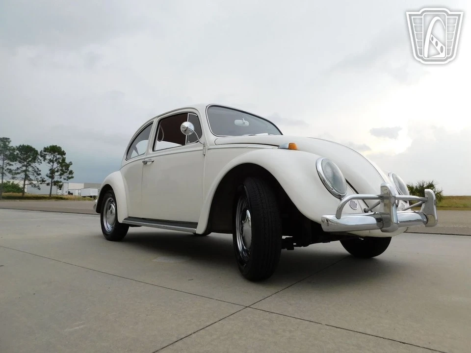 1966 Volkswagen Beetle (1958-1979) - Image 11 of 12