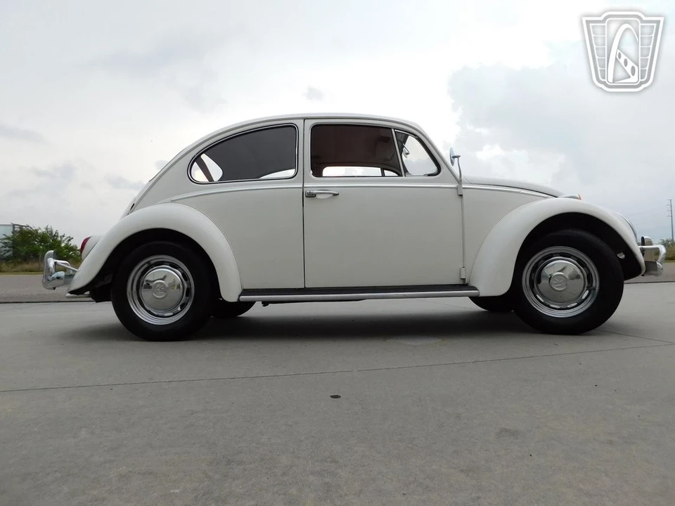 1966 Volkswagen Beetle (1958-1979) - Image 12 of 12