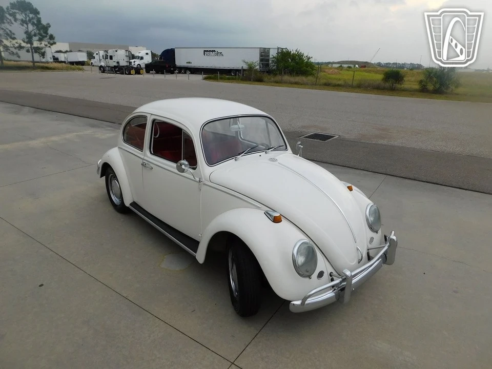 1966 Volkswagen Beetle (1958-1979) - Image 9 of 12