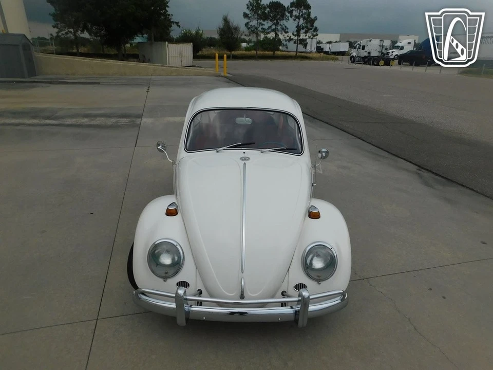 1966 Volkswagen Beetle (1958-1979) - Image 8 of 12