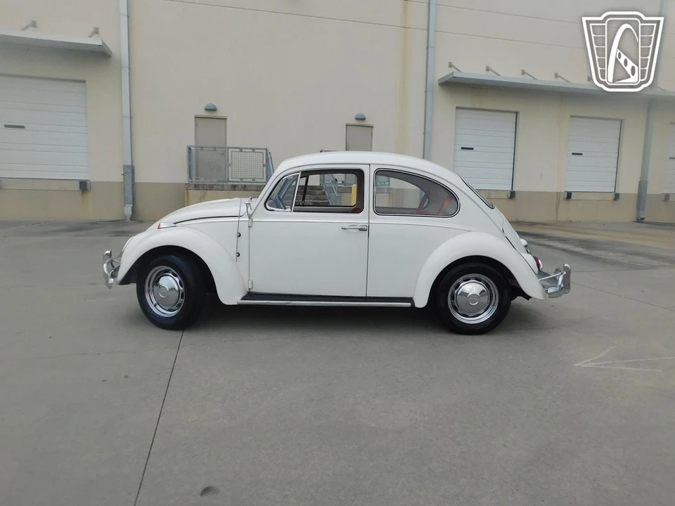 1966 Volkswagen Beetle (1958-1979) - Image 6 of 12