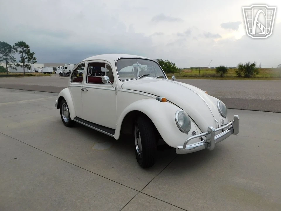 1966 Volkswagen Beetle (1958-1979) - Image 10 of 12