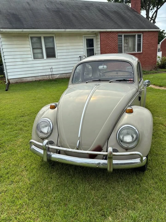 1966 Volkswagen Beetle (1958-1979) - Image 7 of 20
