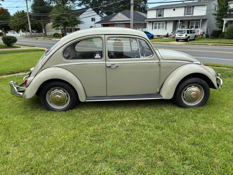 1966 Volkswagen Beetle (1958-1979) - Image 3 of 20