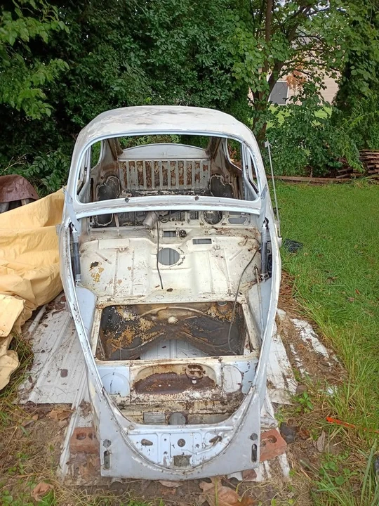 1966 Volkswagen Beetle (1958-1979) - Image 7 of 20
