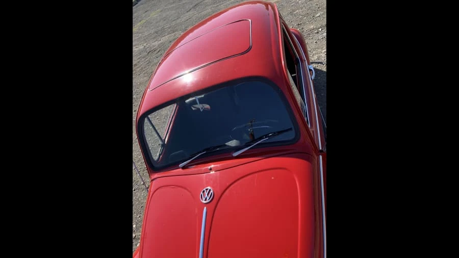 1966 Volkswagen Beetle (1958-1979) - Image 8 of 12