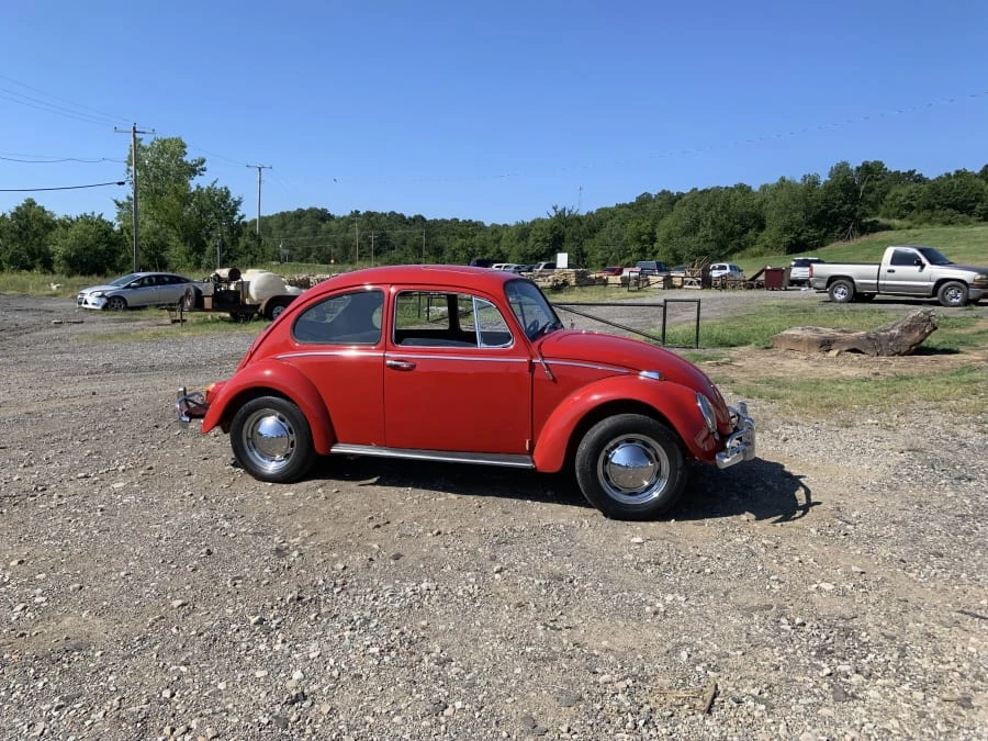 1966 Volkswagen Beetle (1958-1979) - Image 11 of 12