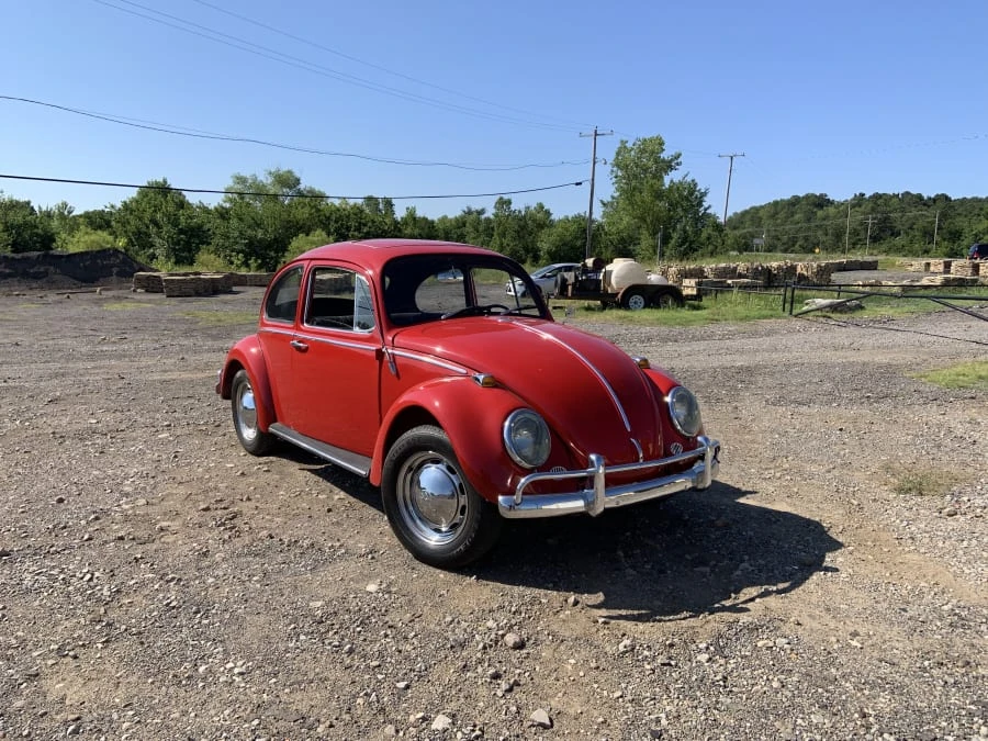 1966 Volkswagen Beetle (1958-1979) - Image 12 of 12