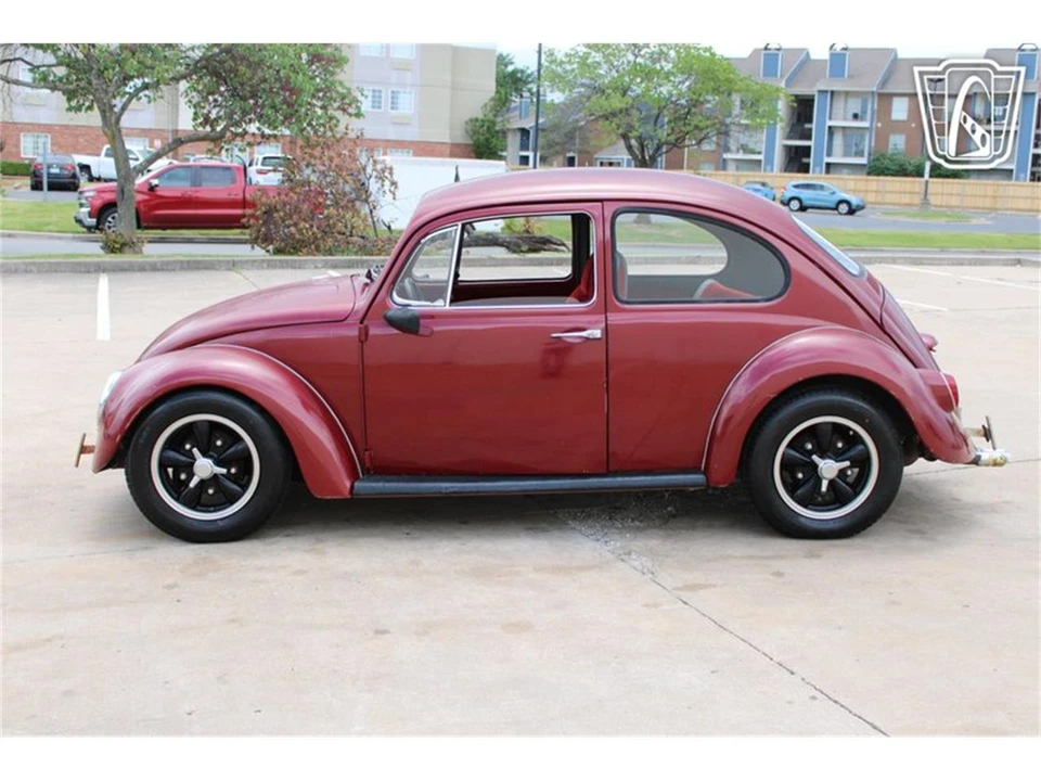 1966 Volkswagen Beetle (1958-1979) - Image 4 of 31
