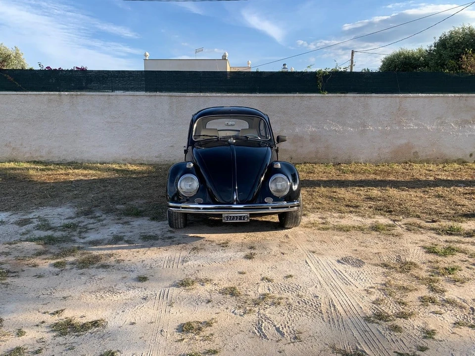 1966 Volkswagen Beetle (1958-1979) - Image 11 of 30