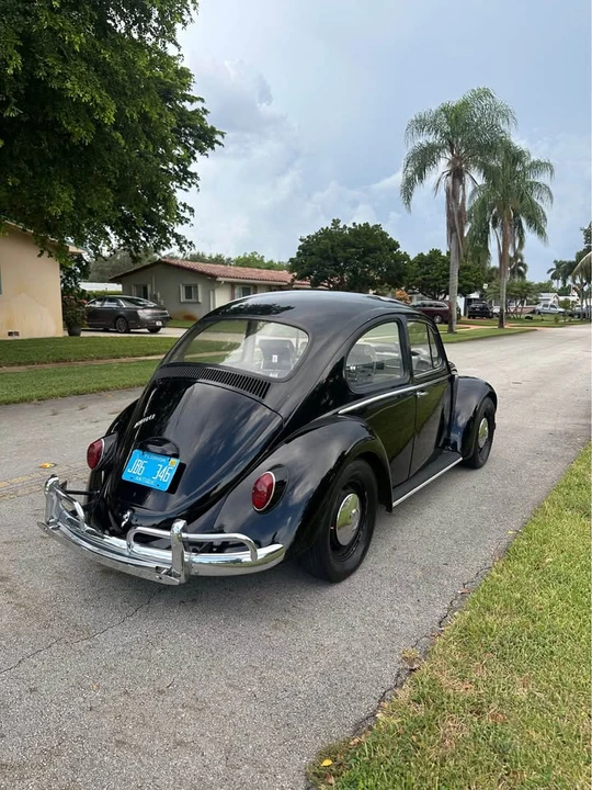 1966 Volkswagen Beetle (1958-1979) - Image 4 of 8