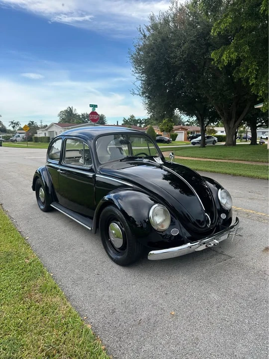 1966 Volkswagen Beetle (1958-1979) - Image 3 of 8
