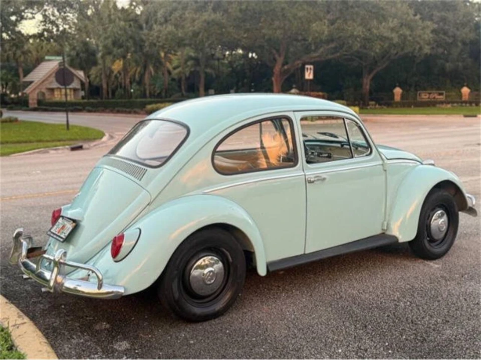 1966 Volkswagen Beetle (1958-1979) - Image 19 of 23