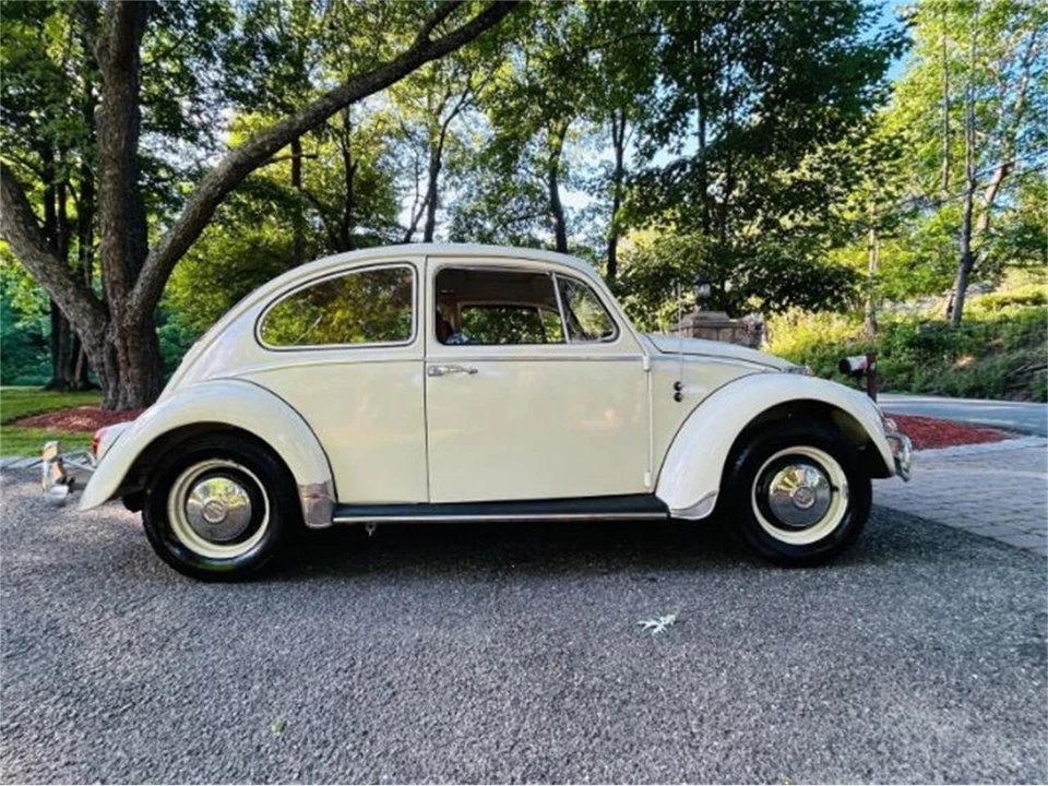 1966 Volkswagen Beetle (1958-1979) - Image 14 of 17