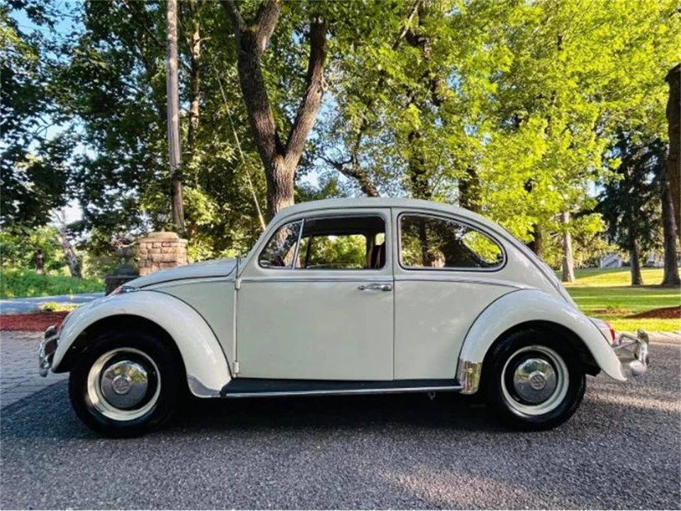 1966 Volkswagen Beetle (1958-1979) - Image 15 of 17