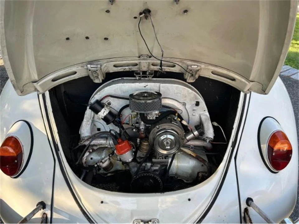 1966 Volkswagen Beetle (1958-1979) - Image 8 of 17