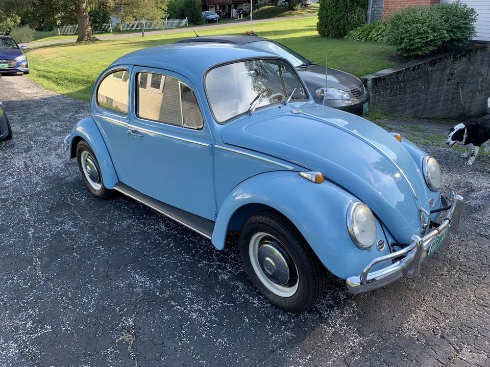 1966 Volkswagen Beetle (1958-1979) - Image 7 of 17