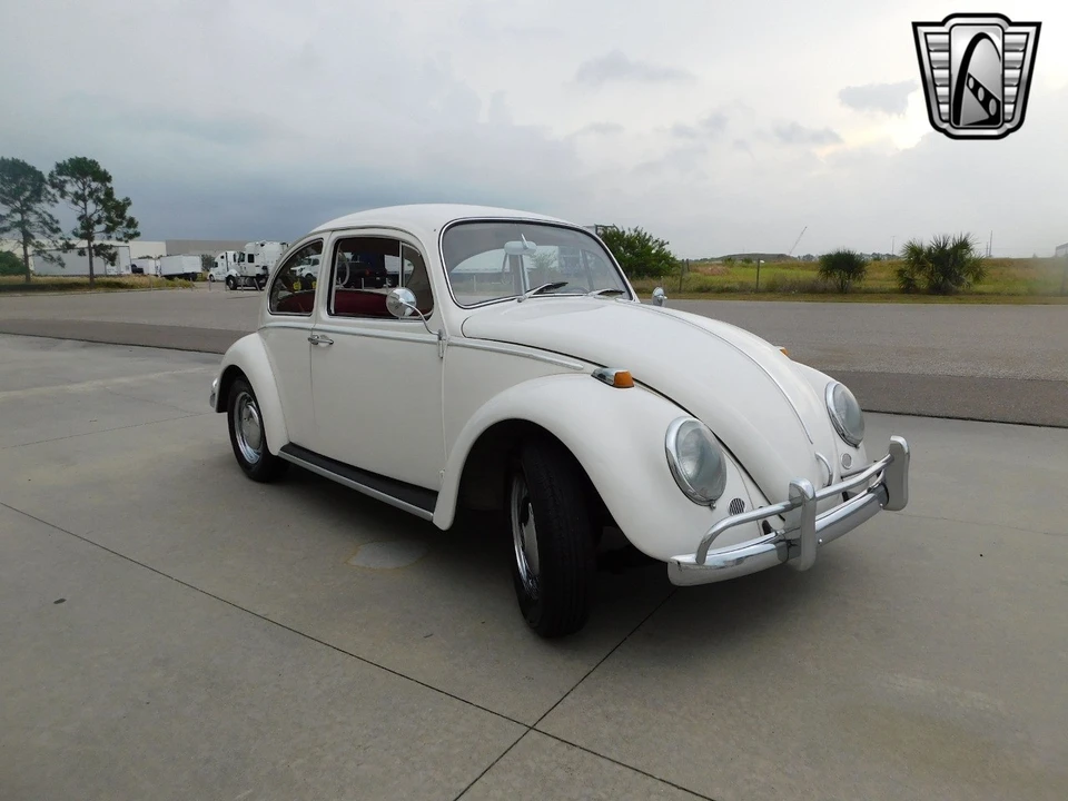 1966 Volkswagen Beetle (1958-1979) - Image 8 of 21