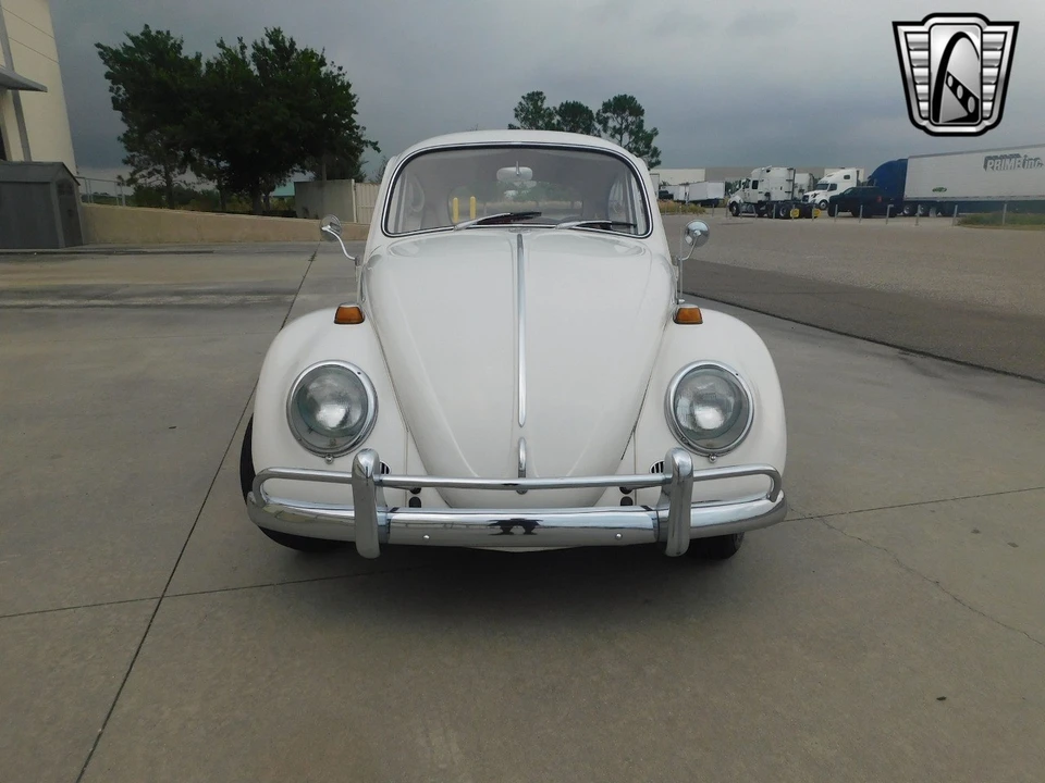 1966 Volkswagen Beetle (1958-1979) - Image 3 of 21