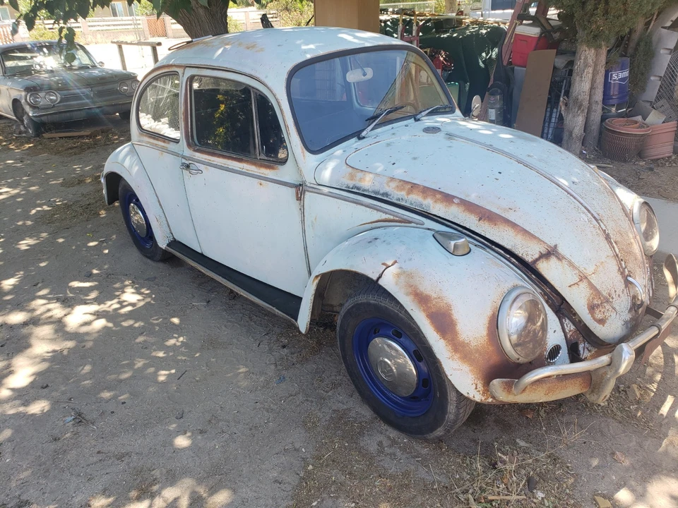 1966 Volkswagen Beetle (1958-1979) - Image 3 of 20