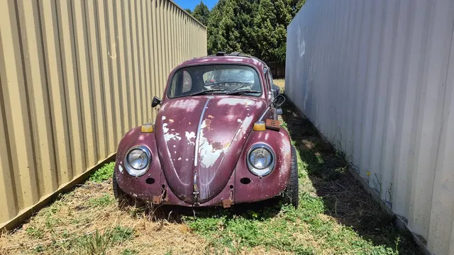 1966 Volkswagen Beetle