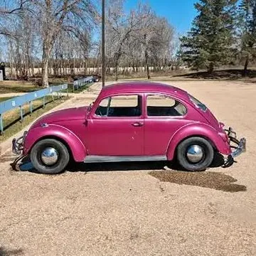 1966 Volkswagen Beetle