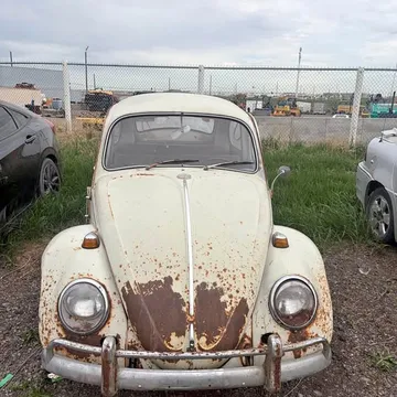 1966 Volkswagen Beetle
