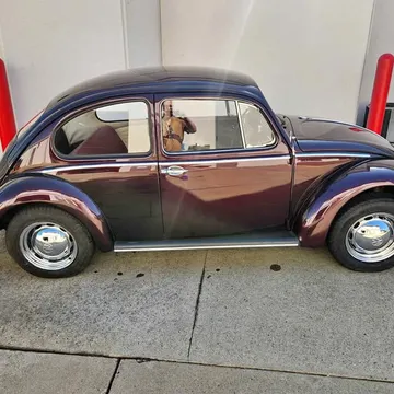 1966 Volkswagen Beetle