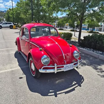 1966 Volkswagen Beetle