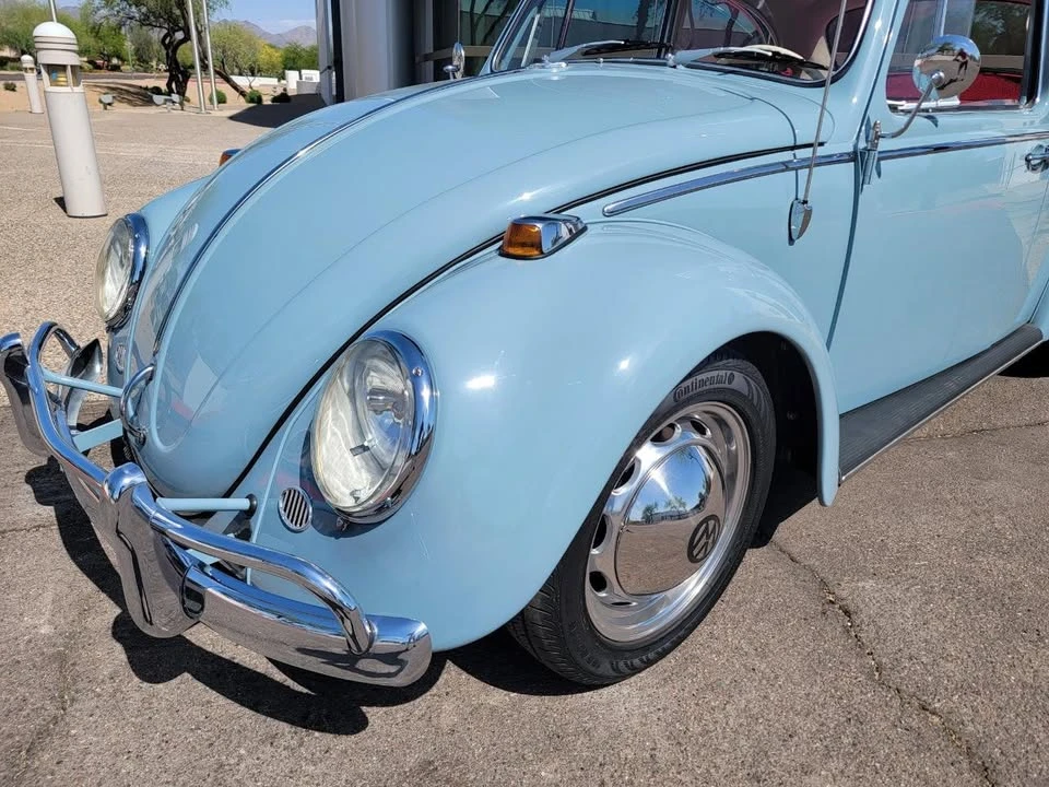 1966 Volkswagen Beetle (1958-1979) - Image 8 of 19