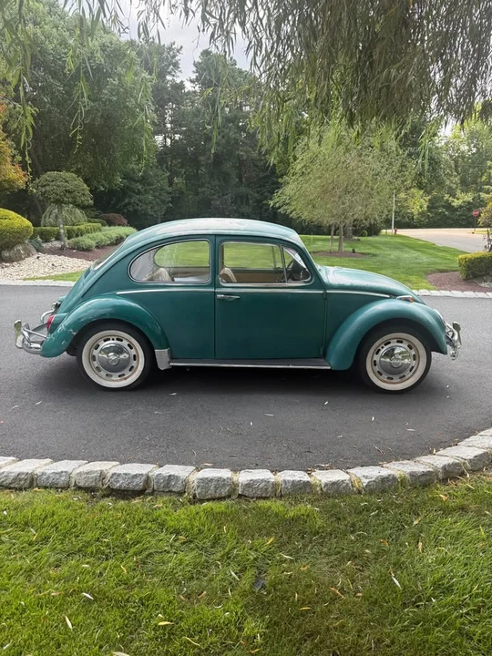 1966 Volkswagen Beetle (1958-1979) - Image 4 of 12
