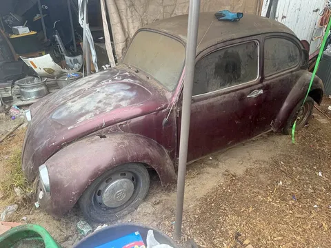 1966 Volkswagen Beetle
