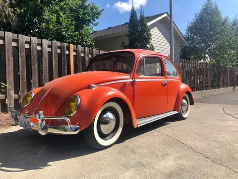 1966 Volkswagen Beetle
