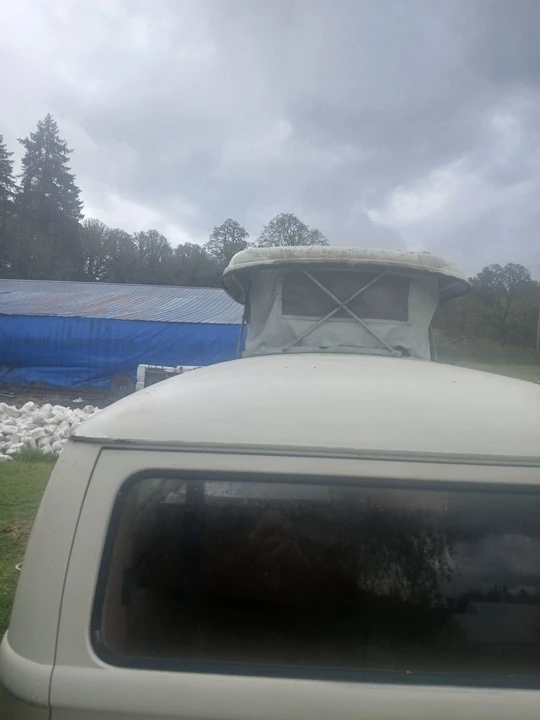 1966 Volkswagen Split-Window Bus - Image 20 of 21