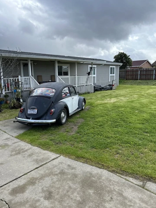 1966 Volkswagen Beetle (1958-1979) - Image 5 of 11