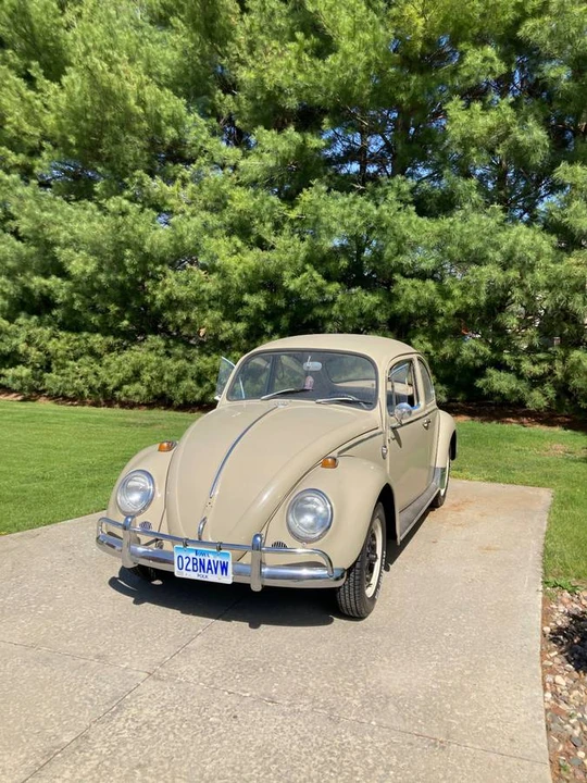 1966 Volkswagen Beetle (1958-1979) - Image 2 of 22