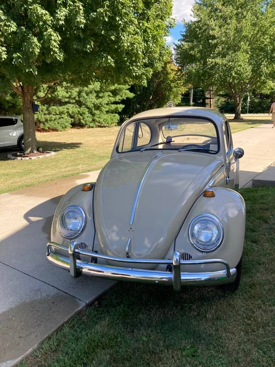 1966 Volkswagen Beetle (1958-1979) - Image 5 of 22
