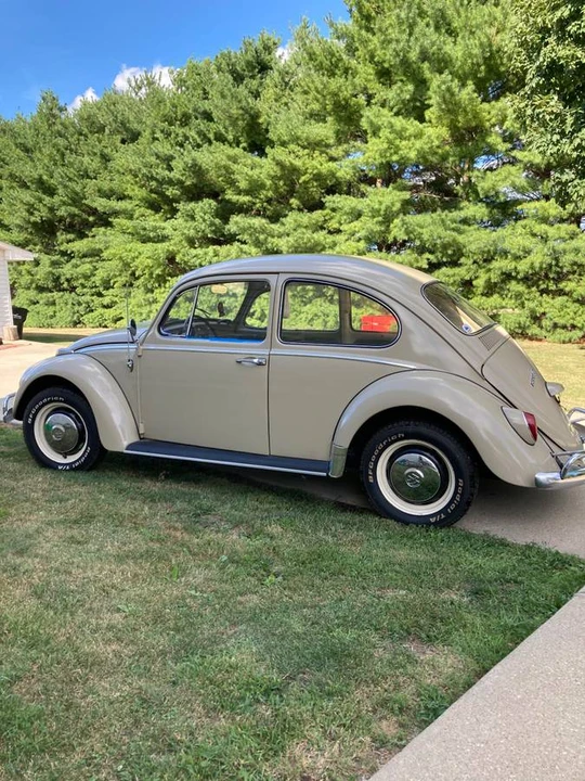 1966 Volkswagen Beetle (1958-1979) - Image 4 of 22