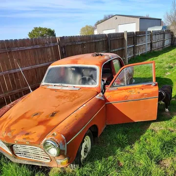 1966 Volvo 122s