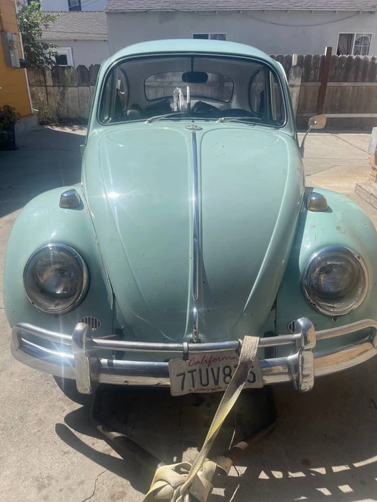 1966 Volkswagen Beetle (1958-1979) - Image 8 of 13