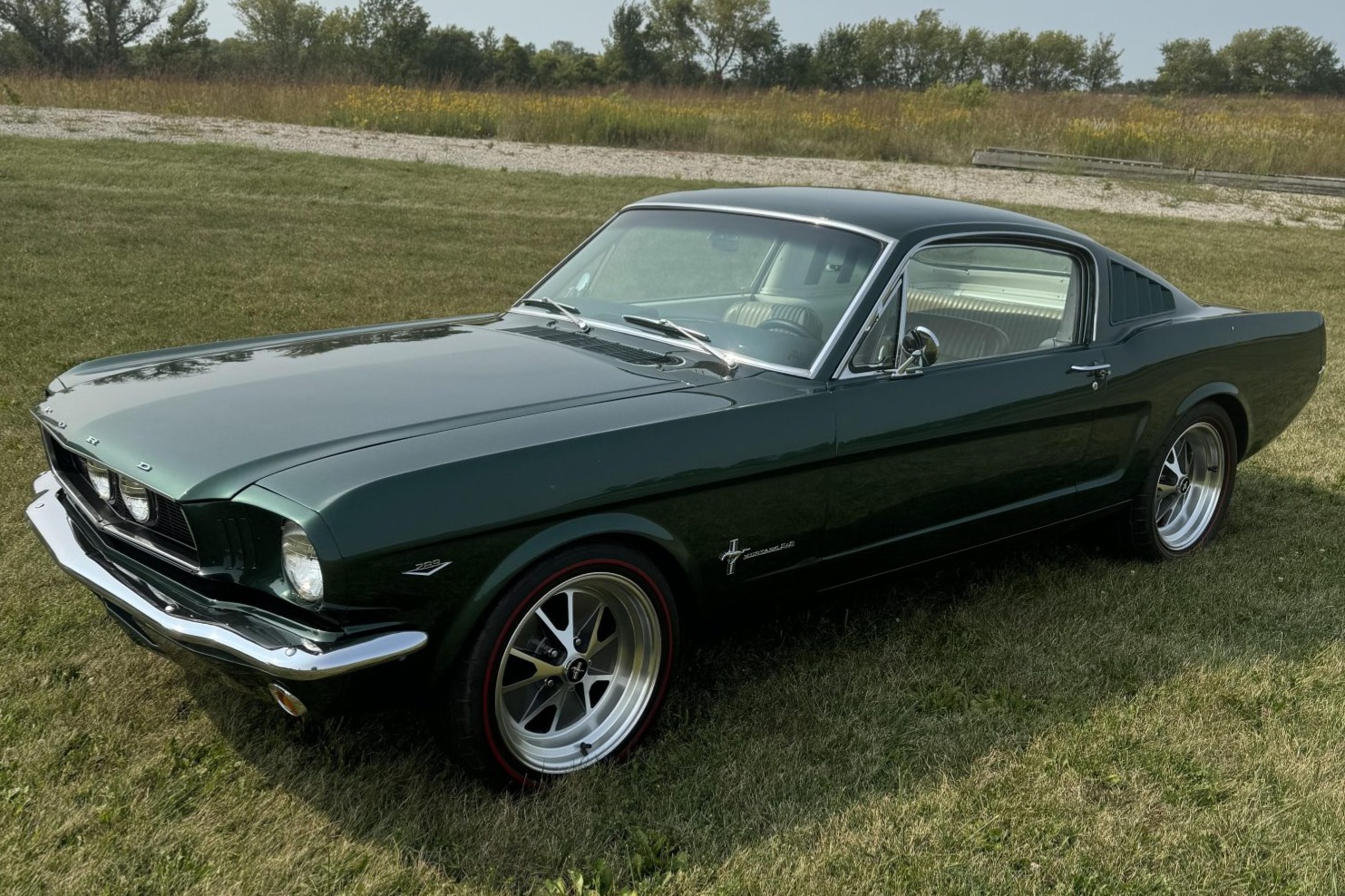 Coyote-Powered 1966 Ford Mustang Fastback 5-Speed