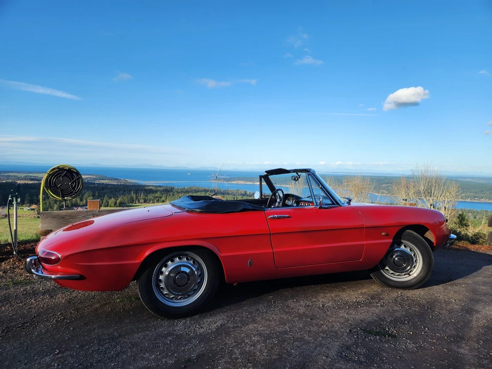 1967 Alfa Romeo Series 1 - Image 13 of 31