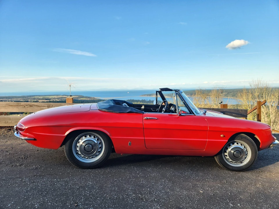 1967 Alfa Romeo Series 1 - Image 14 of 31