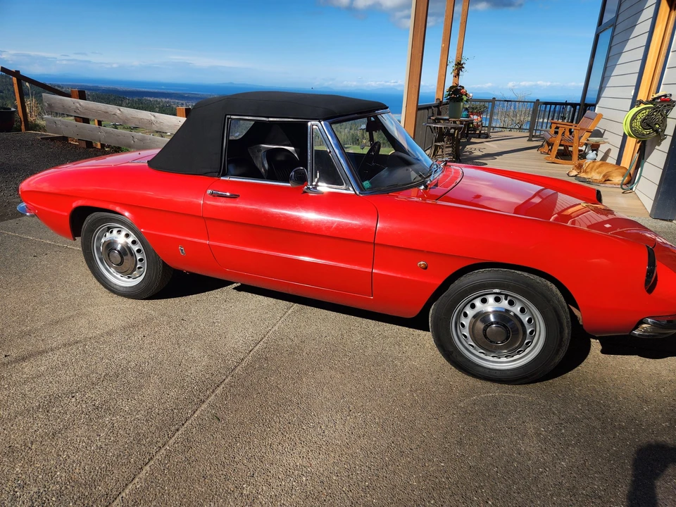 1967 Alfa Romeo Series 1 - Image 16 of 31