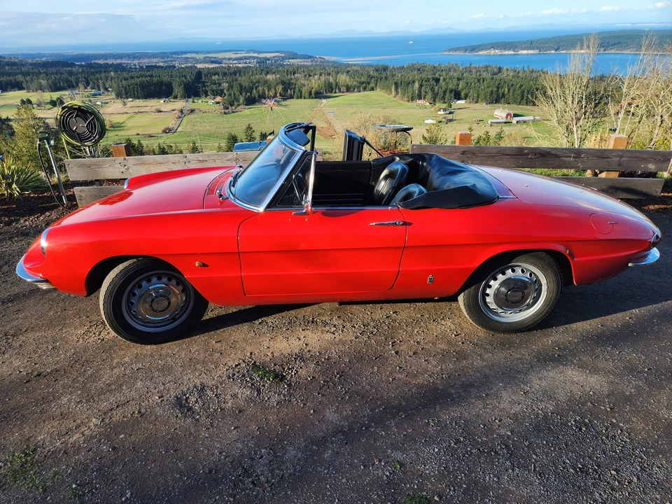 1967 Alfa Romeo Series 1 - Image 6 of 31