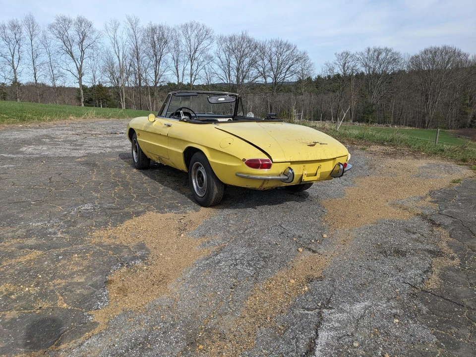 1967 Alfa Romeo Series 1 - Image 22 of 31
