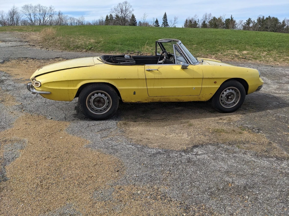1967 Alfa Romeo Series 1 - Image 14 of 31
